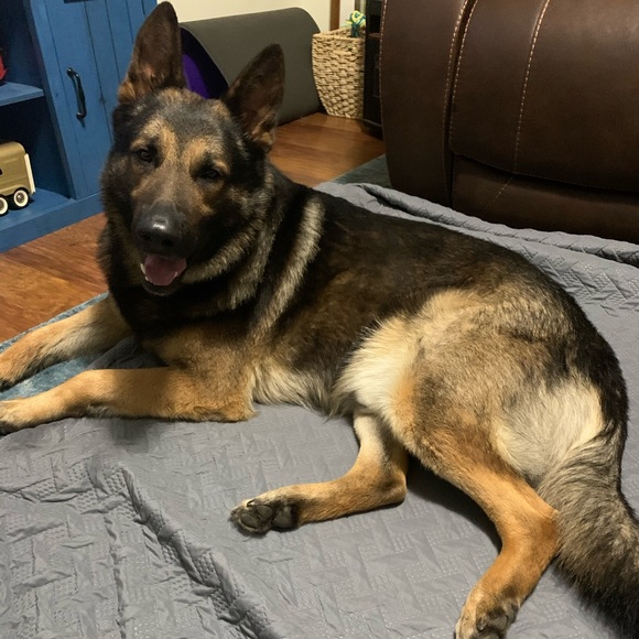 Hi! โค๏ธ - Picture 5 of 5